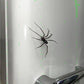 Spider Fridge Magnet🎁Realistic Spider Magnets, for Refrigerator, Garage Door, or Car