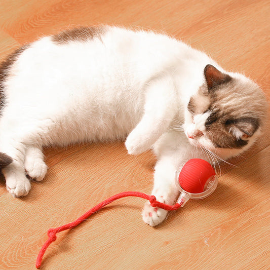 🎅50% Christmas Discount 🐱🐶Smart Automatic Rolling Pet Ball