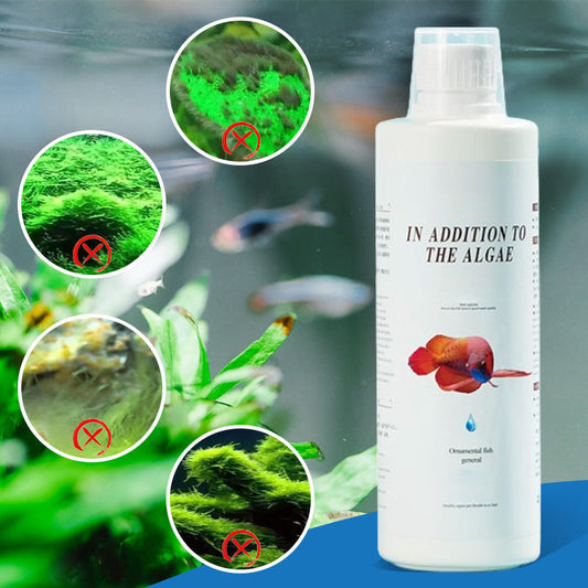 🎁 Hot Sale 49% OFF 🔥Effective Algae Control for Aquarium