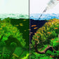 🎁 Hot Sale 49% OFF 🔥Effective Algae Control for Aquarium