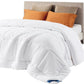 ✨ Lightweight Quilted Duvet Insert – Hypoallergenic, All-Season, Even Fill ☁️