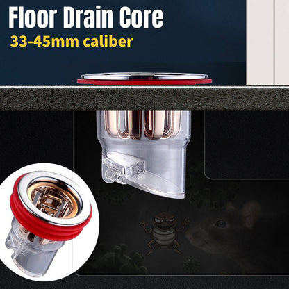 Universal Magnetic Drain Insert – Installs in Seconds 🛠️✔️【