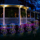 🌈 Limited-time offer-Solar Garden Lights Outdoor Decor