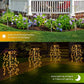 🌈 Limited-time offer-Solar Garden Lights Outdoor Decor