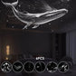 🔭Starry Sky Projector – 2-in-1 Galaxy Light & Warm Night Lamp – USB Powered & Interchangeable Films 🌌