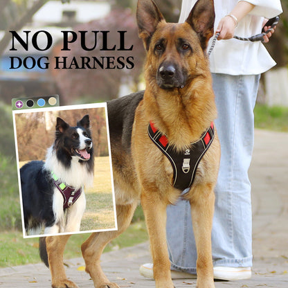 🐶No Pull Dog Harness with Leash & LED Collar – Secure & Comfortable ✨