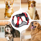 🐶No Pull Dog Harness with Leash & LED Collar – Secure & Comfortable ✨