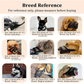 🐶 LIMITED-TIME 50% OFF! ✨ Breathable Dog Muzzle – Humane Design, Adjustable, for Small Breeds 🐾