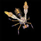 📢📢40% OFF !! ⏰3D Metal Bee Puzzle Assembly Model Kit
