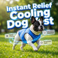 📢📢50% OFF !! ⏰🐶🐱❄️Cooling Dog Vest