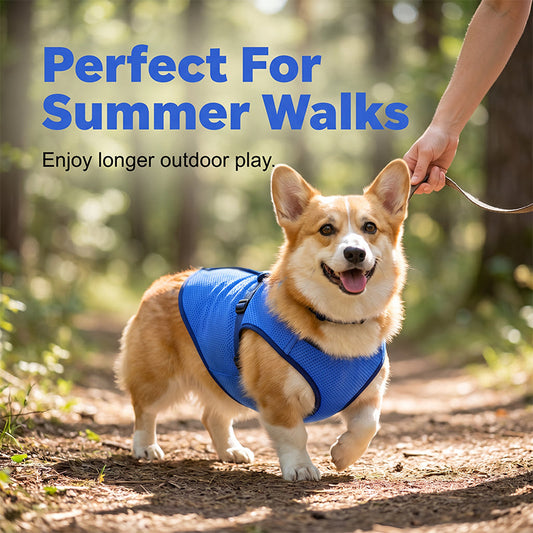 📢📢50% OFF !! ⏰🐶🐱❄️Cooling Dog Vest