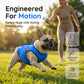📢📢50% OFF !! ⏰🐶🐱❄️Cooling Dog Vest