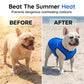 📢📢50% OFF !! ⏰🐶🐱❄️Cooling Dog Vest