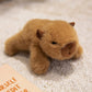 🥳Lovely Plushie Fridge Magnet Doll – Ultra‑soft mink velvet, hidden magnet. Sticks to fridge, monitor & more. A cute companion for everyday! 💖🎀