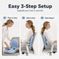 📢📢40% OFF !! ⏰ 2026 Sale — Over 47,300 Sold!🪑 Ergonomic Memory Foam Seat Cushion with Back Support