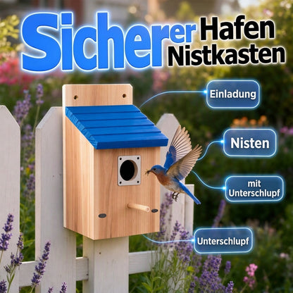 ✨ Weatherproof Wooden Outdoor Bird House – Solid Thickened Natural Timber with Sky Blue Slanted Roof, Predator-Safe Metal Reinforced Entry Guard & Round Resting Perch – 15×15×22cm for Bluebirds Wrens Finches & Songbirds 🏡