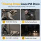🎒 Vest Style Pet Backpack Harness – Breathable, Reflective, No-choke 🌙